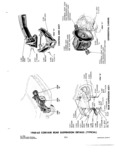 Previous Page - Parts and Accessories Catalog P&A 34 October 1962