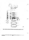 Next Page - Chassis and Body Parts Catalog P&A 72TL May 1979