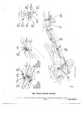 Next Page - Chassis and Body Parts Catalog 72TM May 1979